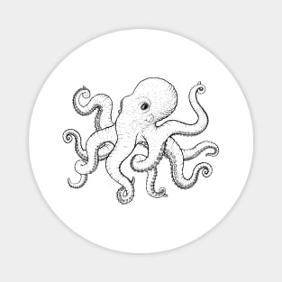 Octopus Magnet